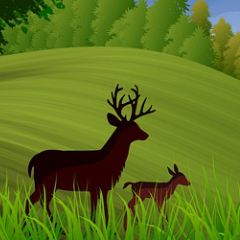 开云(中国)kaiyun网页版 登录入口