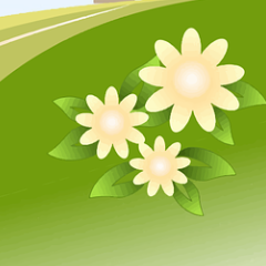 开云(中国)kaiyun网页版 登录入口