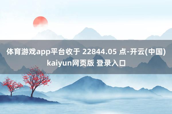 体育游戏app平台收于 22844.05 点-开云(中国)kaiyun网页版 登录入口