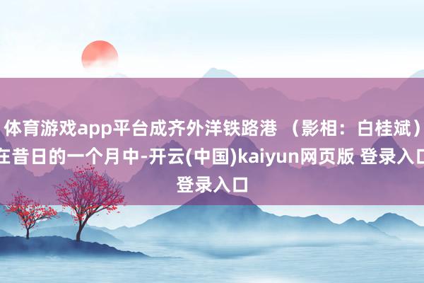 体育游戏app平台成齐外洋铁路港 (影相:白桂斌)在昔日的一个月中-开云(中国)kaiyun网页版 登录入口